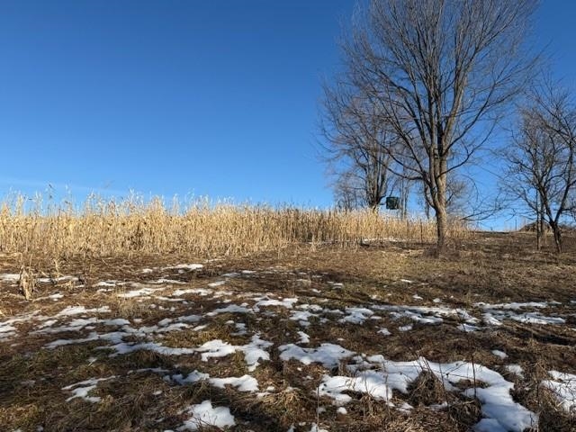 21881 Kale Road Sparta, WI 54656 - Photo 33 of 89