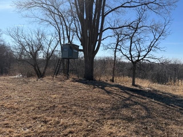 21881 Kale Road Sparta, WI 54656 - Photo 37 of 92