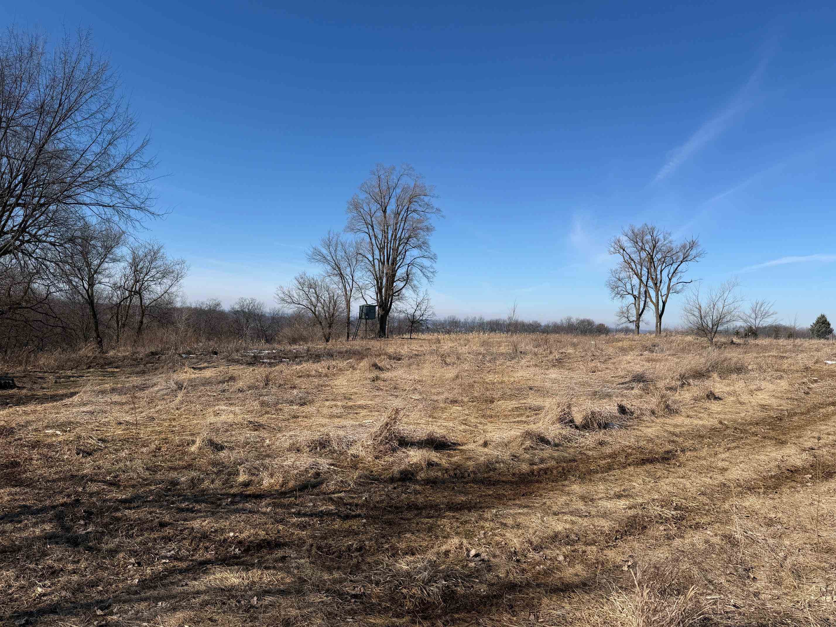 21881 Kale Road Sparta, WI 54656 - Photo 38 of 89