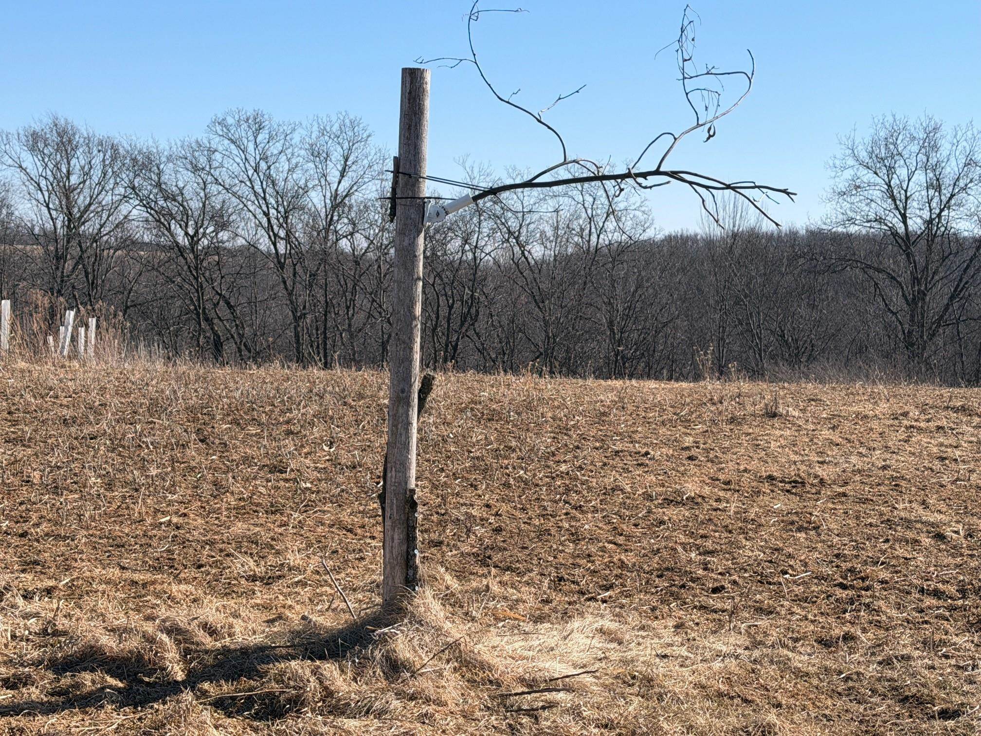 21881 Kale Road Sparta, WI 54656 - Photo 38 of 92