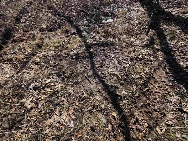 $2,590,000 | 21881 Kale Road, Sparta, WI 54656