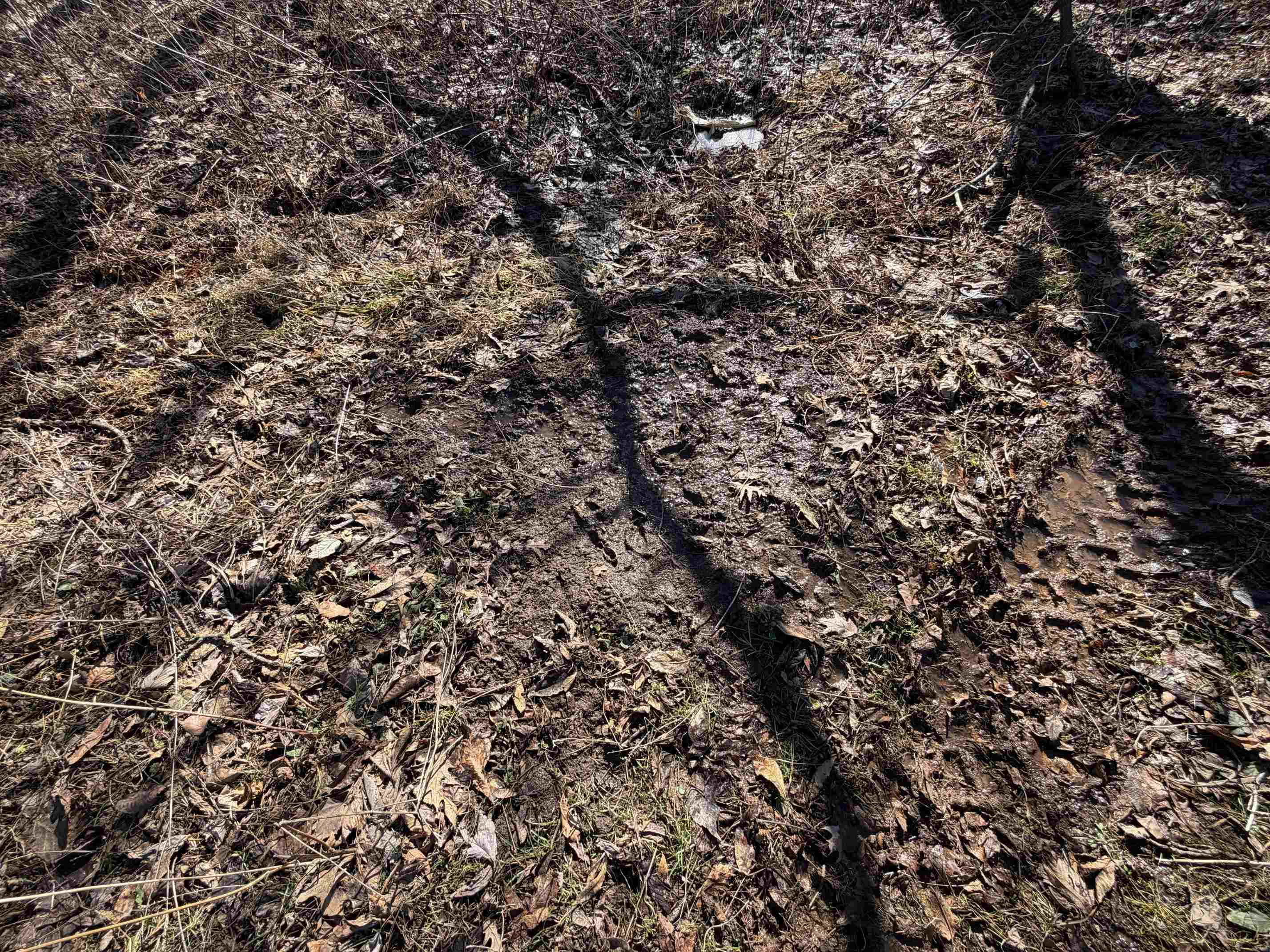 21881 Kale Road Sparta, WI 54656 - Photo 40 of 92