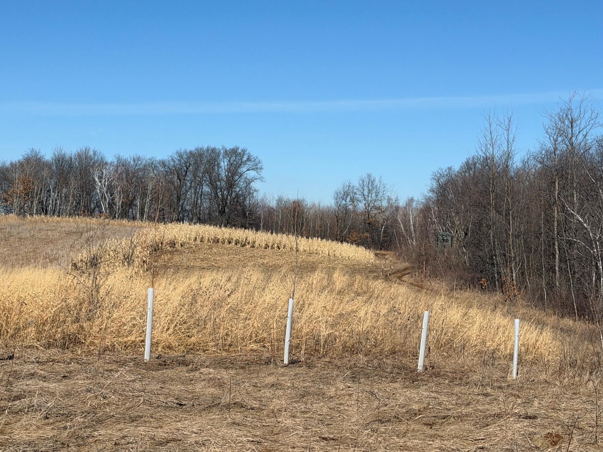 21881 Kale Road Sparta, WI 54656 - Photo 42 of 92