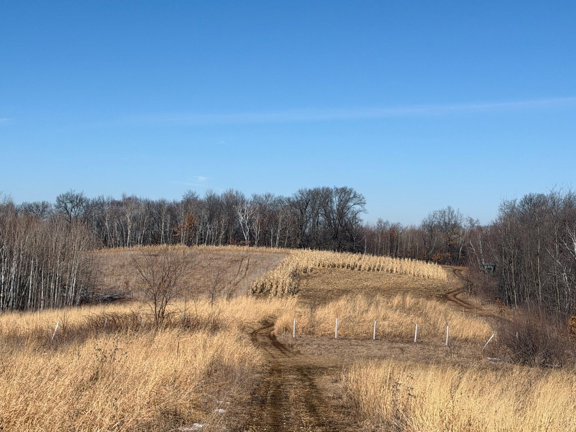 21881 Kale Road Sparta, WI 54656 - Photo 44 of 92