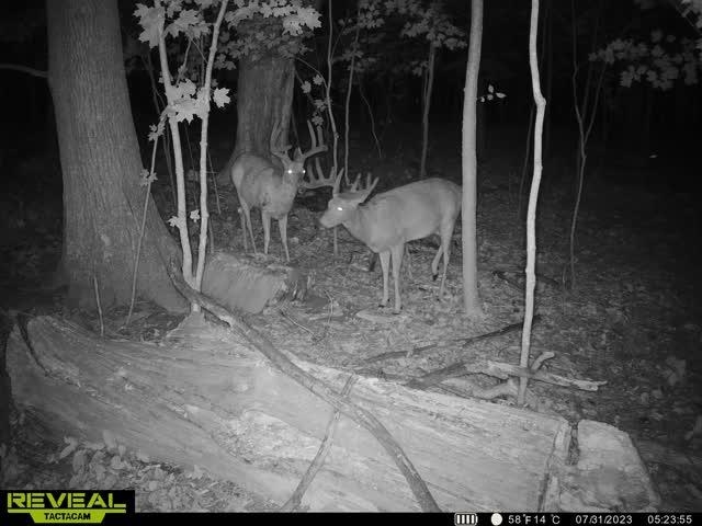 21881 Kale Road Sparta, WI 54656 - Photo 59 of 89