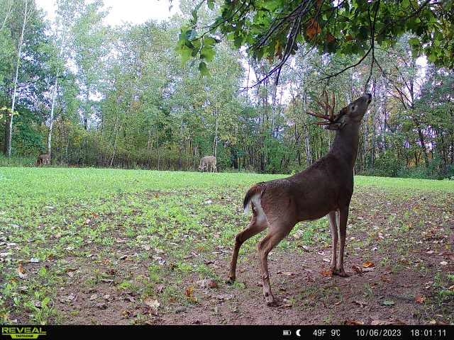 21881 Kale Road Sparta, WI 54656 - Photo 63 of 92