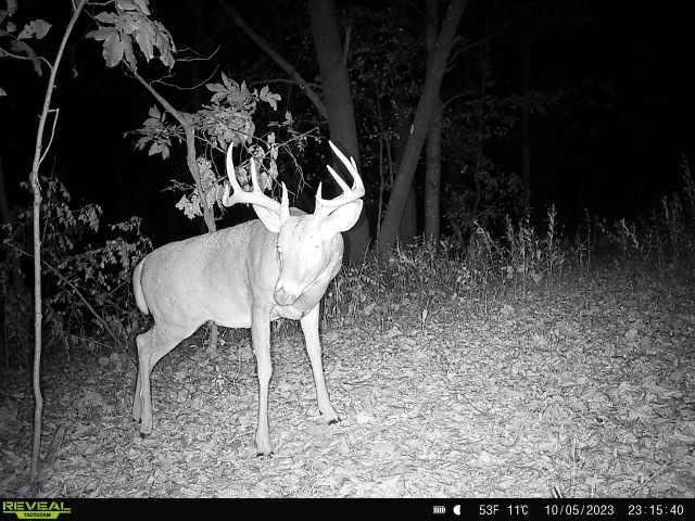 21881 Kale Road Sparta, WI 54656 - Photo 64 of 92