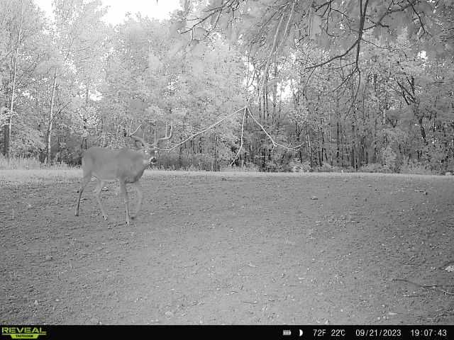 21881 Kale Road Sparta, WI 54656 - Photo 64 of 89