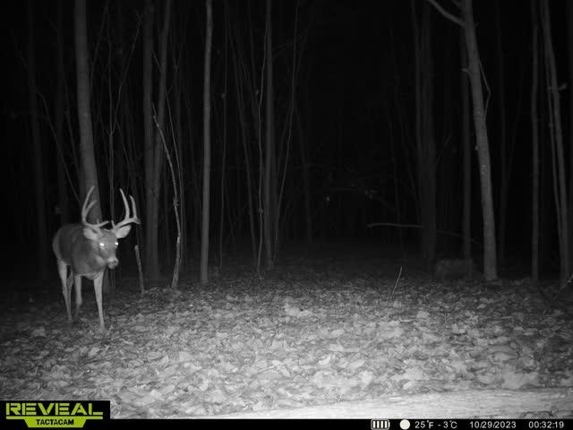 21881 Kale Road Sparta, WI 54656 - Photo 65 of 92