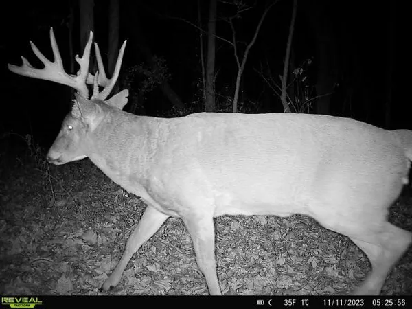 $2,590,000 | 21881 Kale Road, Sparta, WI 54656