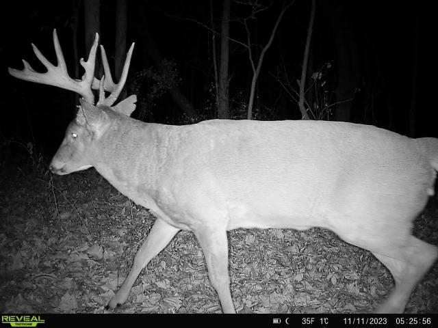 21881 Kale Road Sparta, WI 54656 - Photo 66 of 92