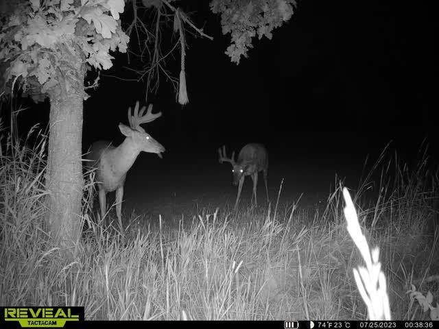 21881 Kale Road Sparta, WI 54656 - Photo 67 of 89