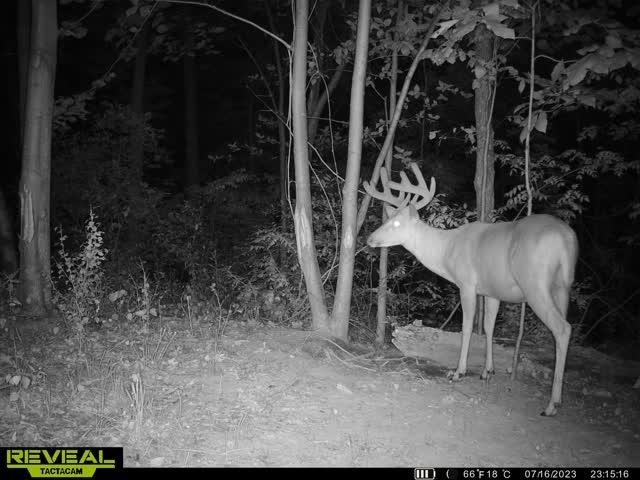 21881 Kale Road Sparta, WI 54656 - Photo 68 of 92