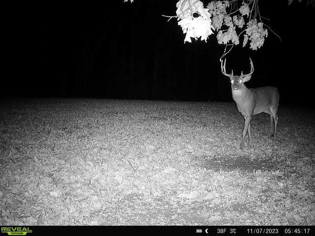 21881 Kale Road Sparta, WI 54656 - Photo 69 of 92