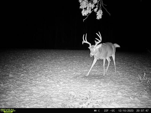 21881 Kale Road Sparta, WI 54656 - Photo 71 of 92