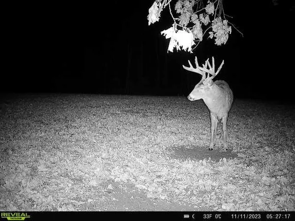 $2,590,000 | 21881 Kale Road, Sparta, WI 54656