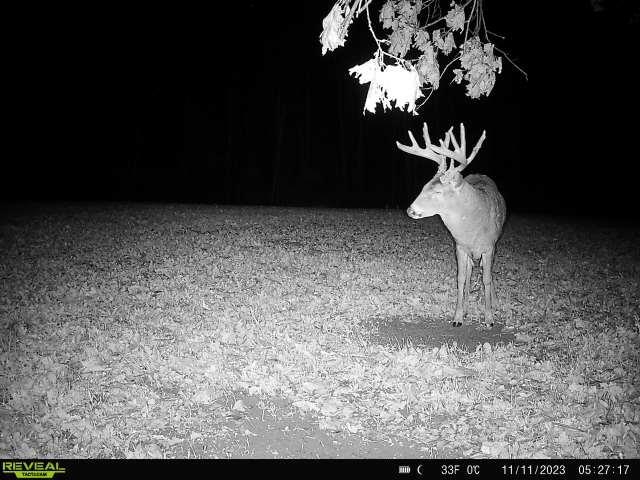 21881 Kale Road Sparta, WI 54656 - Photo 72 of 92