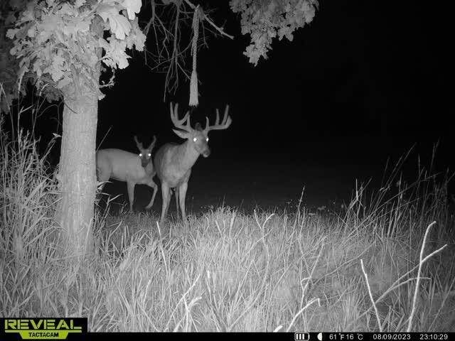 21881 Kale Road Sparta, WI 54656 - Photo 73 of 92