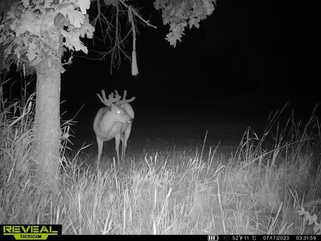 21881 Kale Road Sparta, WI 54656 - Photo 74 of 92