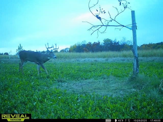 21881 Kale Road Sparta, WI 54656 - Photo 75 of 89