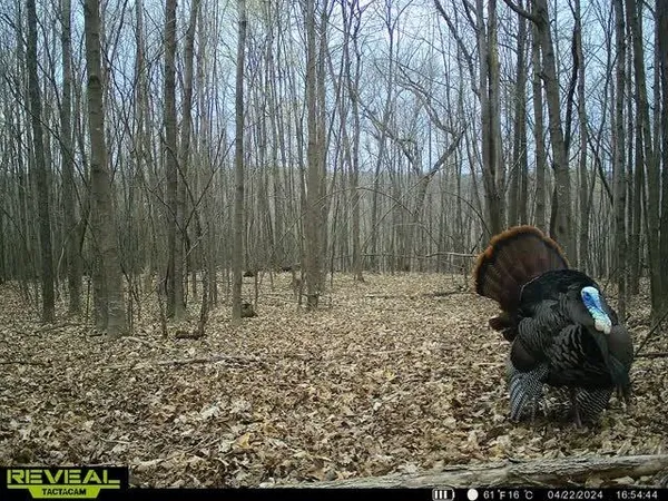 $2,590,000 | 21881 Kale Road, Sparta, WI 54656