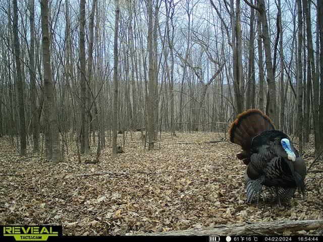 21881 Kale Road Sparta, WI 54656 - Photo 75 of 92