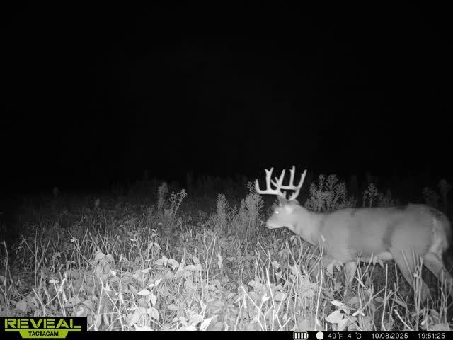 21881 Kale Road Sparta, WI 54656 - Photo 76 of 92