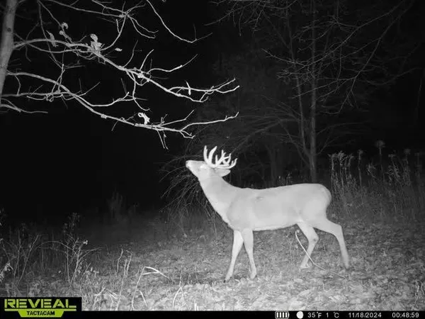 $2,590,000 | 21881 Kale Road, Sparta, WI 54656