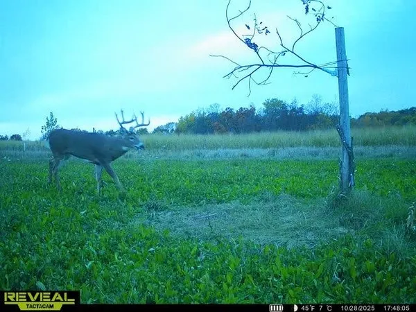 $2,590,000 | 21881 Kale Road, Sparta, WI 54656