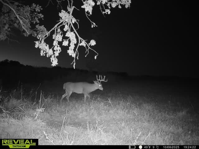 21881 Kale Road Sparta, WI 54656 - Photo 79 of 92