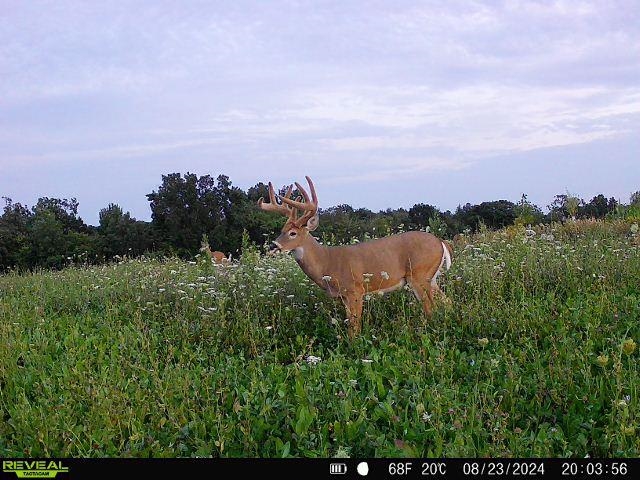 21881 Kale Road Sparta, WI 54656 - Photo 79 of 89