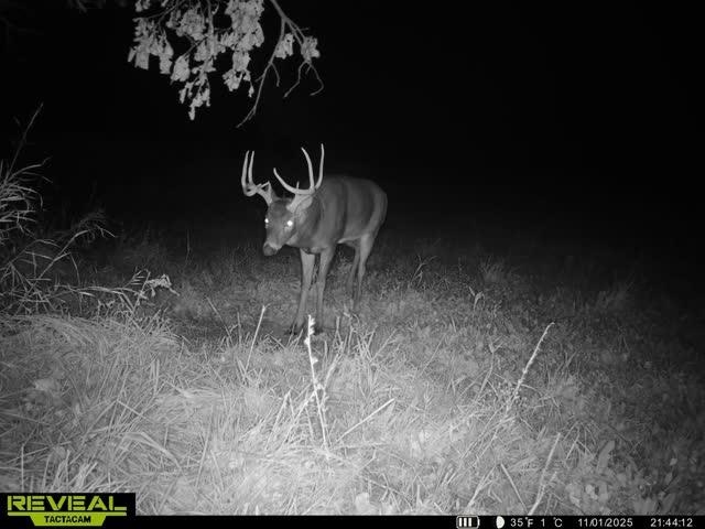 21881 Kale Road Sparta, WI 54656 - Photo 80 of 92