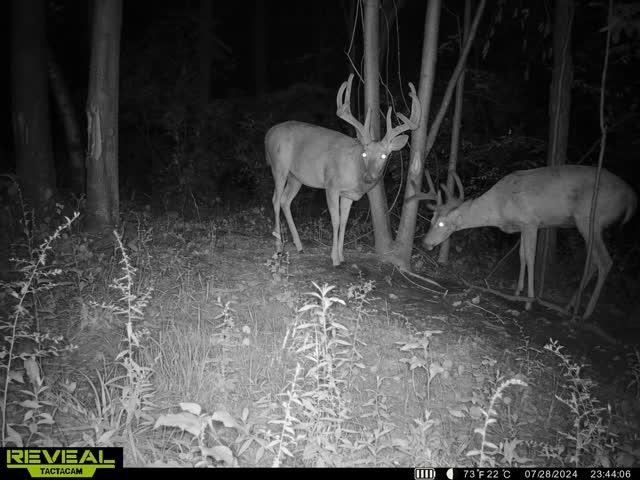 21881 Kale Road Sparta, WI 54656 - Photo 81 of 92