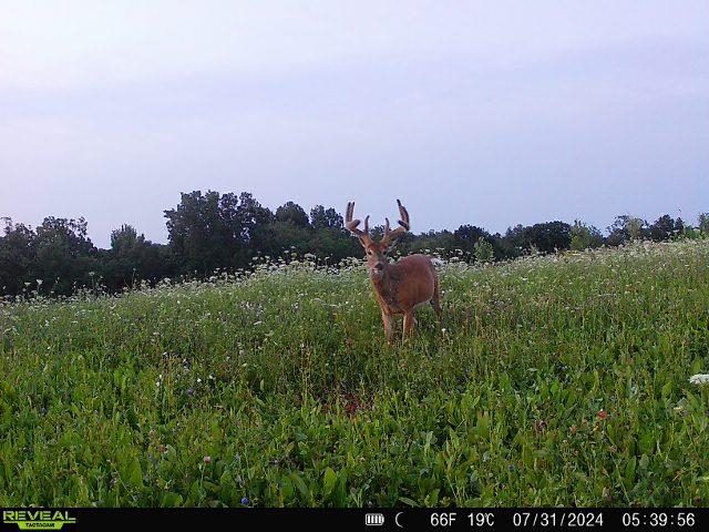 21881 Kale Road Sparta, WI 54656 - Photo 81 of 89