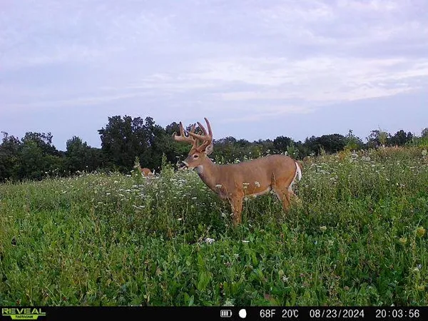 $2,590,000 | 21881 Kale Road, Sparta, WI 54656