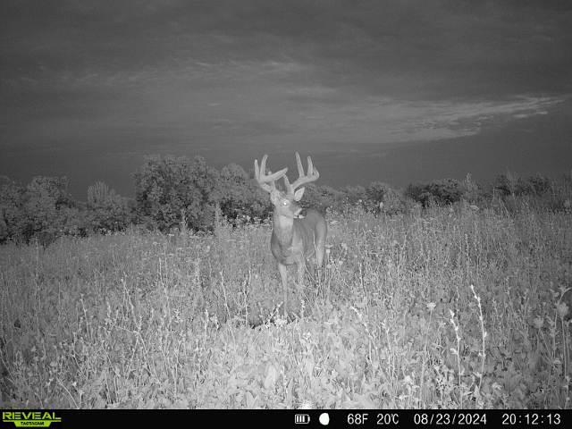 21881 Kale Road Sparta, WI 54656 - Photo 83 of 92