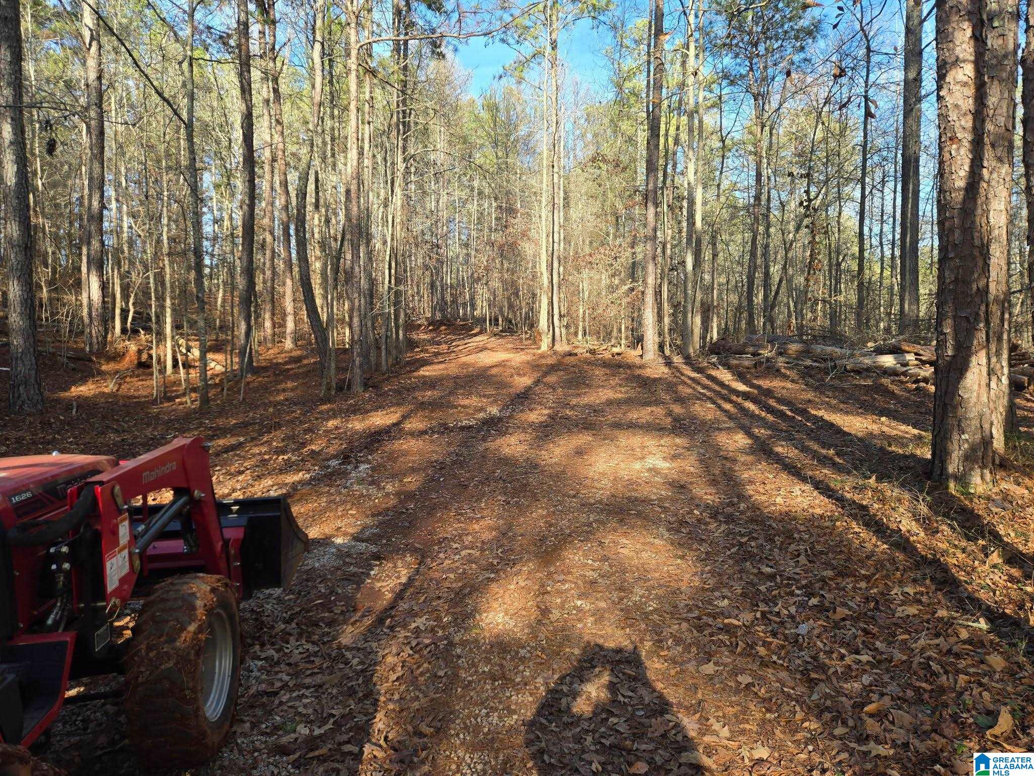 283 County Road 2012 Delta, AL 36258 - Photo 3 of 19