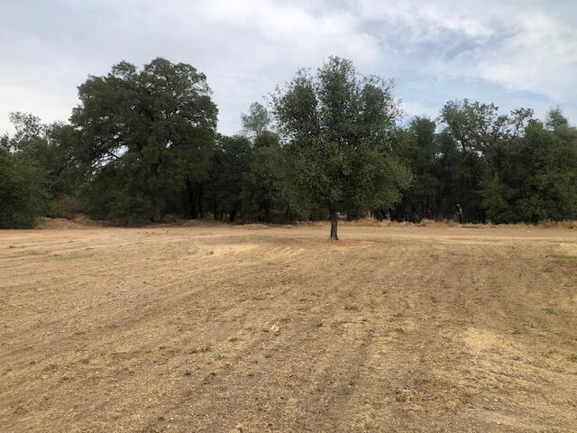 21892 Stone Meadows Road Palo Cedro, CA 96073 - Photo 20 of 22 Stone Meadow northwest portion of proper