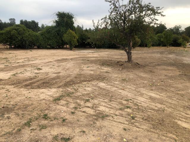21892 Stone Meadows Road Palo Cedro, CA 96073 - Photo 21 of 22 Stone Meadow southeast side of property