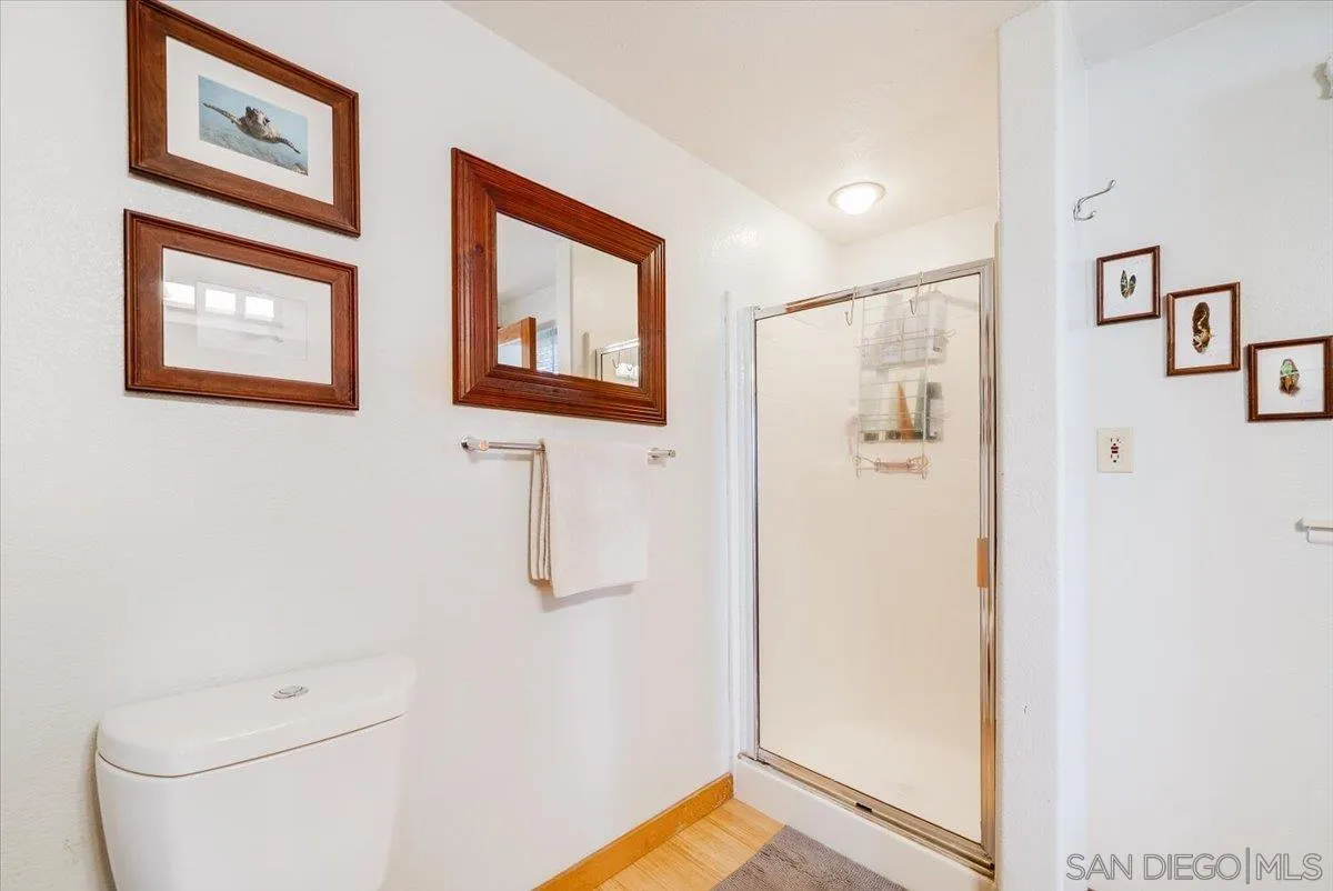 1386 Lake Drive Encinitas, CA 92024 - Photo 27 of 60 a bathroom with a toilet and a shower