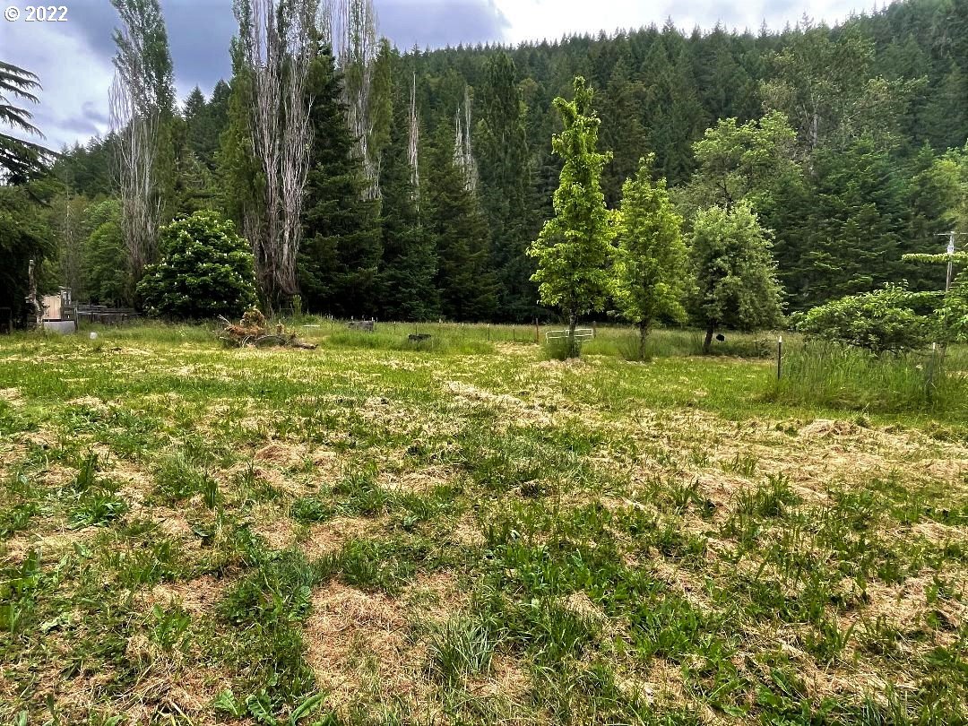 3603 North Myrtle Road Myrtle Creek, OR 97457 - Photo 18 of 22