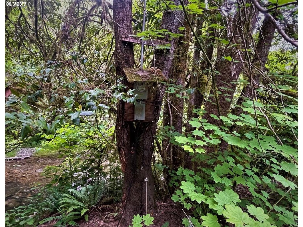3603 North Myrtle Road Myrtle Creek, OR 97457 - Photo 22 of 22
