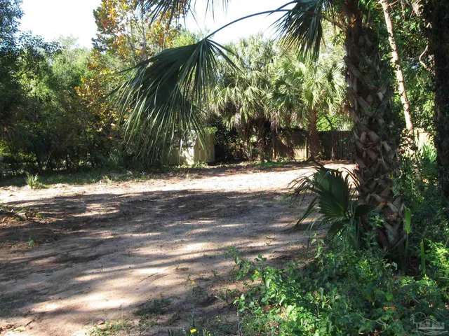 a view of dirt yard with a large tree