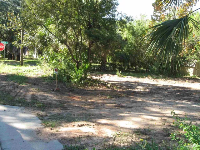 a view of a yard with plants and trees
