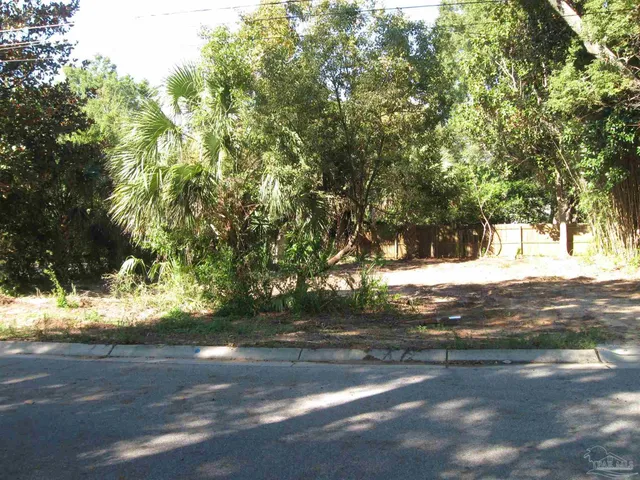 a view of road yard with trees