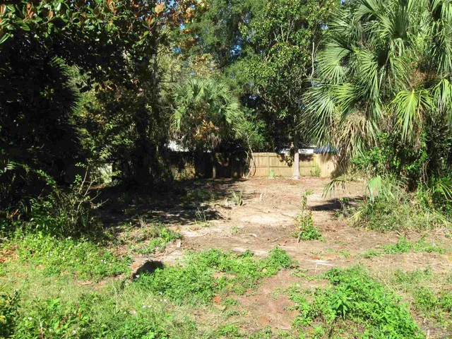 a view of yard with trees