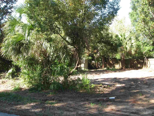 a view of a yard with a tree