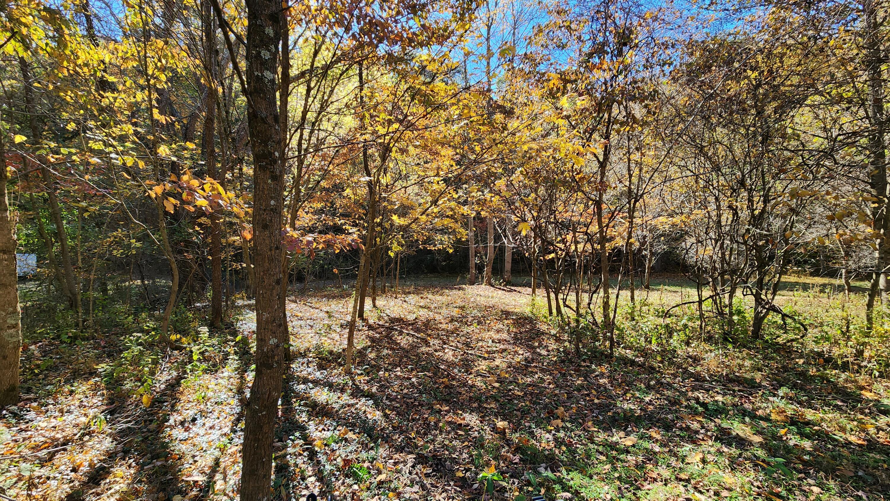 0 Vandergriff Road, Unit TRACT 6) South Bloomingville, OH 43152 - Photo 50 of 59 20231023_141808