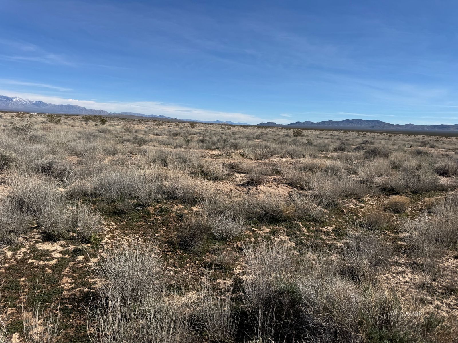 Deming Way Spring Valley Tecopa, CA 92389 - Photo 6 of 9 a view of a sky view of a covered with trees