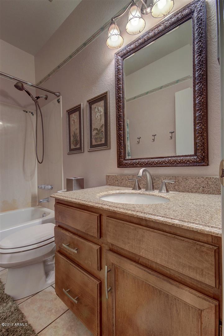 641 West Tumbleweed Road Gilbert, AZ 85233 - Photo 19 of 31 Tumbleweed (7)
